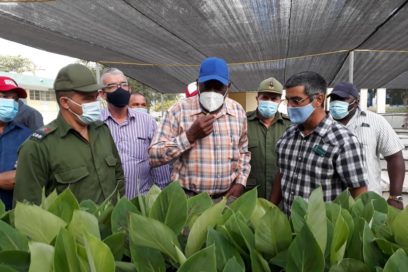 Evalúa Valdés Mesa producción de alimentos en Holguín (+ Fotos)
