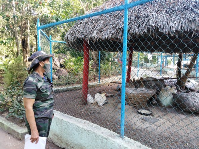 El zoológico de Camagüey ha transformado su imagen y espacio, pero sus trabajadores se han enfocado en prestar un servicio de excelencia. Foto: Gretel Díaz Montalvo