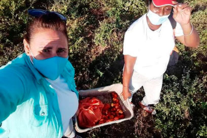Celebración en el surco