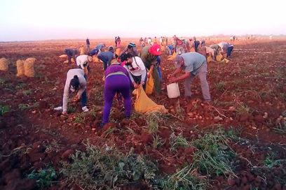 Producción, servicios y alegría