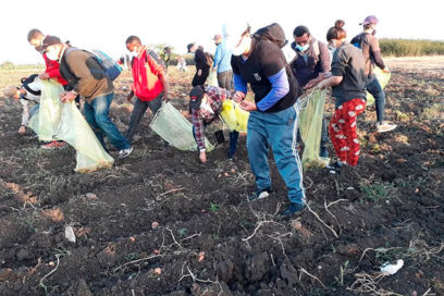 CTC y UJC, juntos en trabajo voluntario (+ Fotos y Videos)