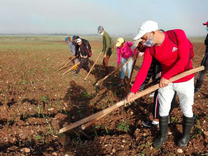 El aporte de los trabajadores a la producción de bienes y servicios, en el centro de las actividades conmemorativas de este Primero de Mayo en Sancti Spíritus. Foto: Radio Sancti Spíritus