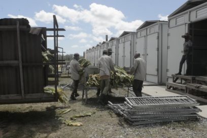 Cura de tabaco con energías renovables
