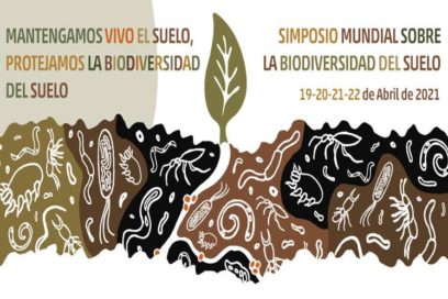 Proteger la biodiversidad del suelo centra simposio de la FAO