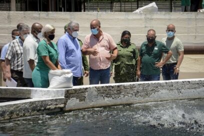 Cada esfuerzo, aunque pequeño, cuenta