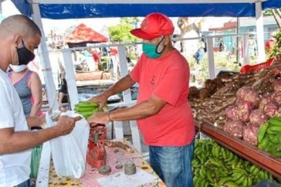 Nuevas medidas para la contribución a la seguridad social