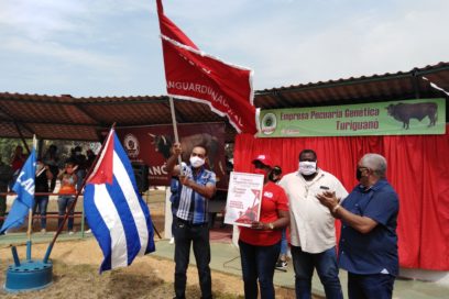Vanguardias Nacionales ganaderos de Turiguanó (+ Fotos)
