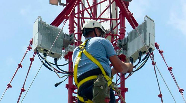 La ejecución de las labores requieren de labores intensas y muy especializadas. Foto: Periódico 5 de Septiembre