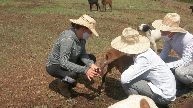 La finca Las Nubes es un hermoso paraje donde se trabaja con eficiencia y es un ejemplo de agricultura familiar, pues la esposa y sus dos hijos varones están involucrados en el manejo de la misma. Foto: Pedro Paredes Hernández