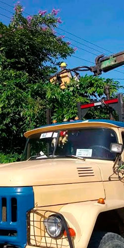 Se podaron árboles que pudieran afectar edificaciones o el tendido eléctrico ante la ocurrencia de fuertes vientos y lluvia intensa. Foto: Lillipsy Bello