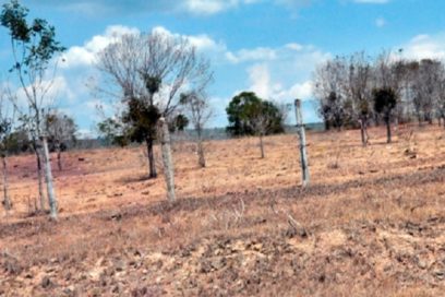 Situación hidrometeorológica: ¿Cómo enfrenta Cuba la sequía? (+Video)
