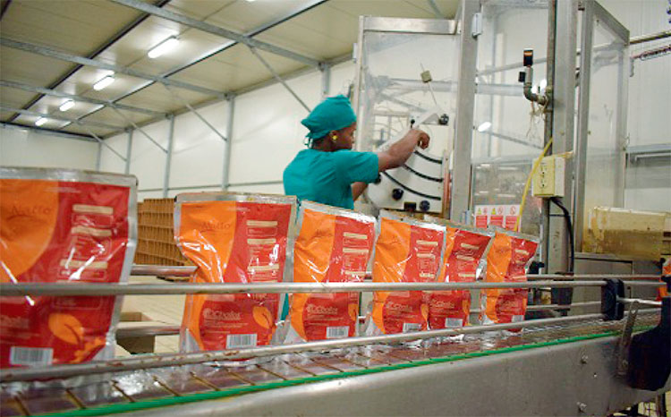 La calidad del tomate favoreció el rendimiento industrial. Foto: Agustín Borrego Torres