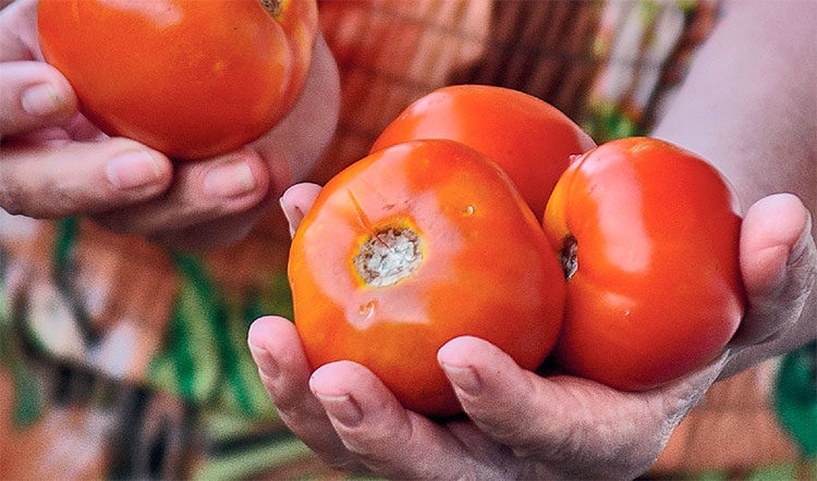 Foto: Heriberto González Brito