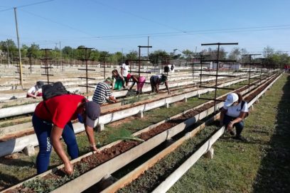 Trabajadores agrícolas este Primero de Mayo: Unidos, hacemos Cuba