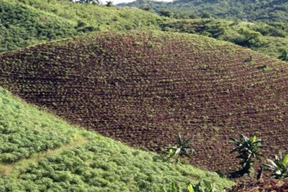 Desarrollan acciones para la conservación de los suelos en Cienfuegos