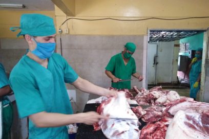 Cultivando la vida 14: Los «carniceros» de élite