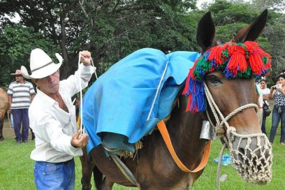 Más fabulaciones de arrieros en la serranía