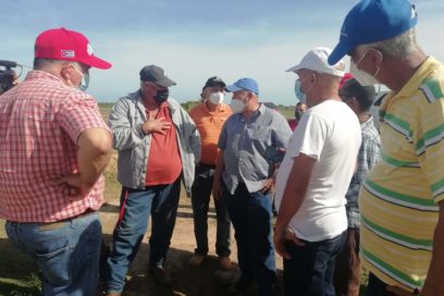 Avanzan agricultores pinareños