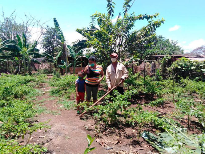 Abel y Raida son la principal fuerza que impulsa la siembra de alimentos en su patio, comida que les beneficia directamente. Foto: Gretel Díaz Montalvo