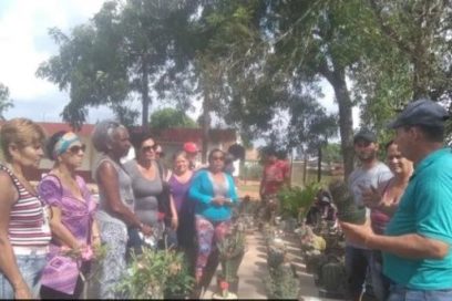 Cultivando la vida 13: Entre espinas y flores (Video)
