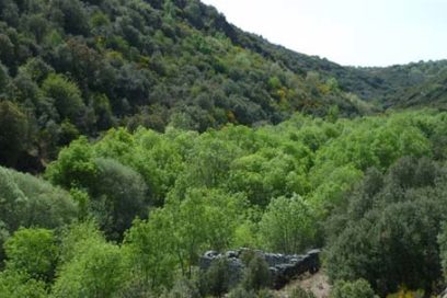 Por un medio ambiente protegido en Villa Clara