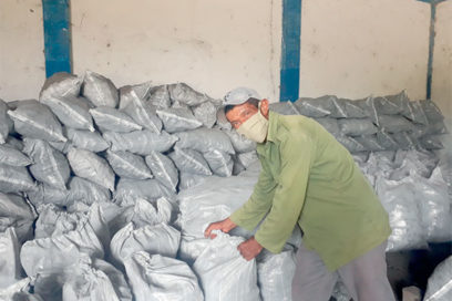 21 de junio, Día del Trabajador Forestal: Hacer arder la madera