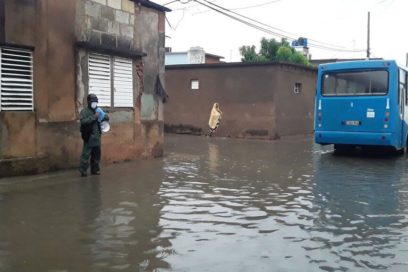 Después de Elsa, recuperación (Cobertura Especial)