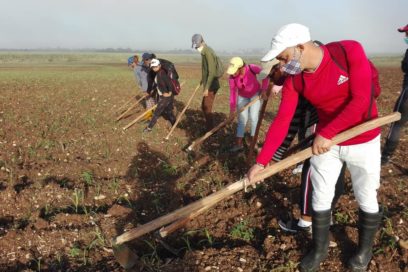 Espirituanos respaldan la Revolución desde el surco