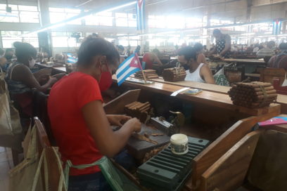 La funcionalidad de una estructura vital a este tiempo