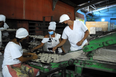 Desarrollan en todo el país jornadas de trabajo voluntario (+Fotos)