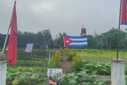 Al Día de la Rebeldía Nacional: Tributo desde el surco en Las Tunas