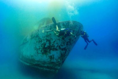 Barco hundido, ganancia para el ecosistema (+ Fotos)