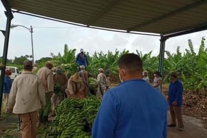 Previsión y acción es seguridad