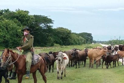 El movimiento sindical en Las Tunas enfrascado en la recuperación