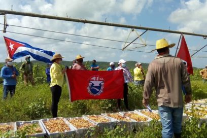 Sábado productivo en Holguín