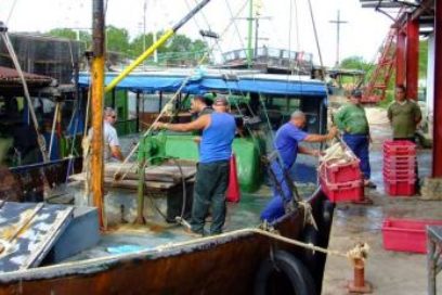 Ciénaga de Zapata en la mira de Elsa