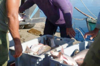 La pesca requiere disciplina