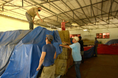 Protegen tabaco en Pinar del Río (+ video)