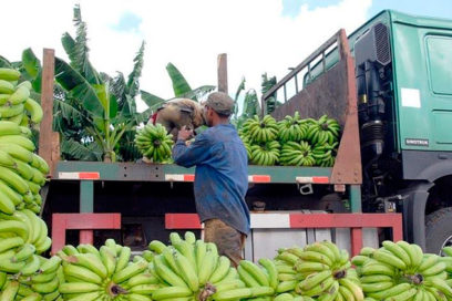 Elsa no empapa, pero beneficia