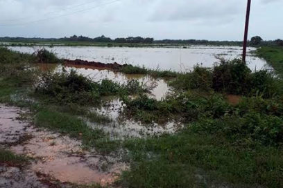 Cienfuegos: Elsa retó a los agricultores, pero encontró respuesta (+ Fotos)