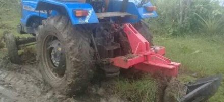 Protegen a los animales, en la Agroindustrial de Granos Sur del Jíbaro.