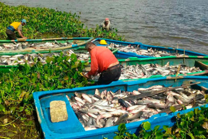 Pescadores y embarcaciones ya están en tierra tunera