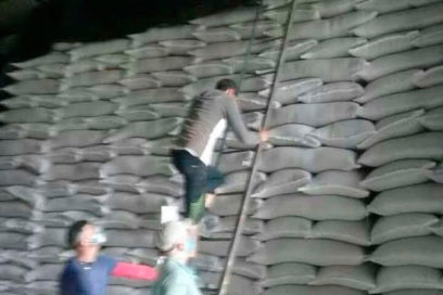 Agricultura espirituana se cobija ante el impacto de Elsa (+ Fotos)