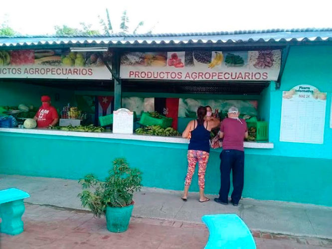 Algunos de los productos cosechados se comercializan en la red de mercados de Acopio. Foto: Odalis Cid