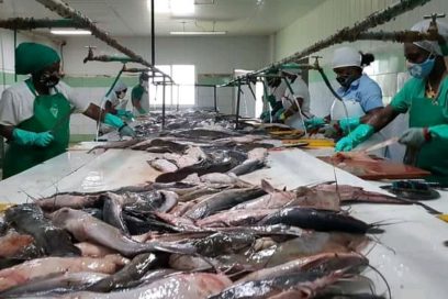 Todo asegurado en Camagüey a la espera de Elsa