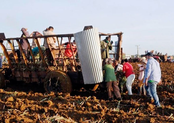 La convocatoria movilizó a cientos de cienfuegueros para ejecutar labores agrícolas. Foto: Juan Carlos Dorado