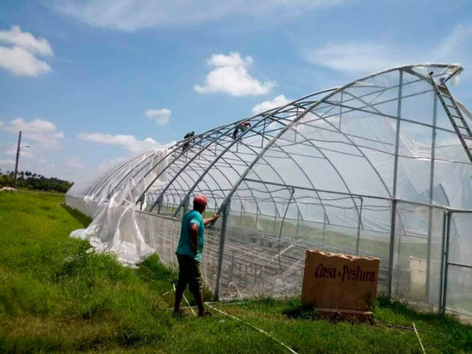 Se desmontan casas de cultivos y se resguarda el equipamiento agrícola como regadíos y medios de transporte. Foto Yirmani