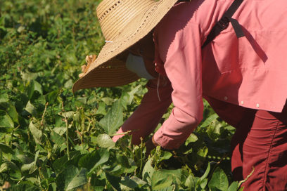 Tras el empeño de generar nuevos empleos en Las Tunas