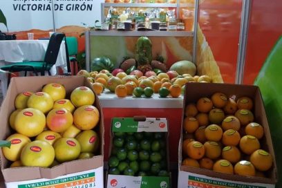 Modalidades de comercio favorecen exportación de productos agrícolas
