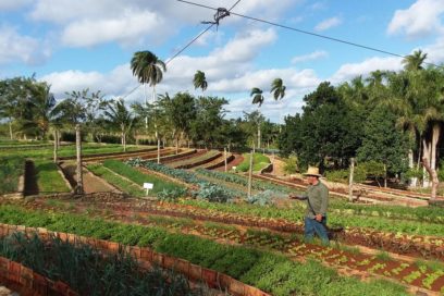 Finca Marta, la última que visitó Fidel